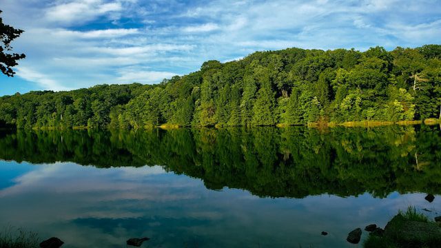 A scenic stretch of greenery in Hocking Hills.