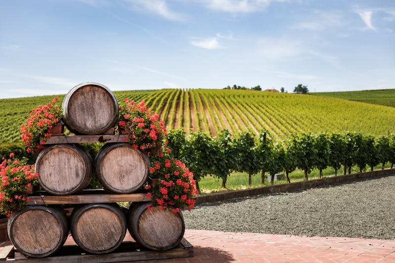 A photo of a winery with wine barrels in front.